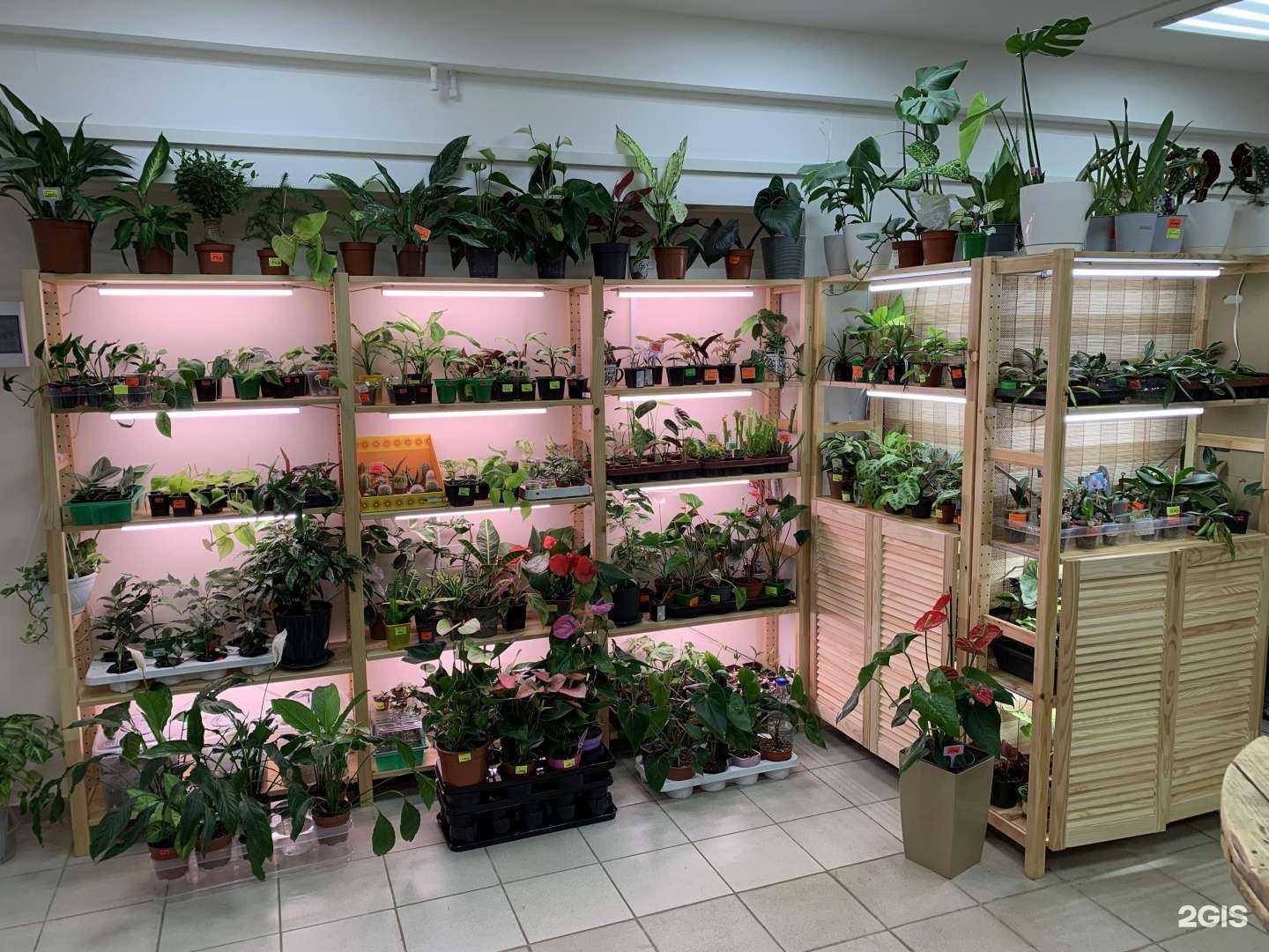 Отзывы на компанию Kathryn Flowers House в Астрахани c фото