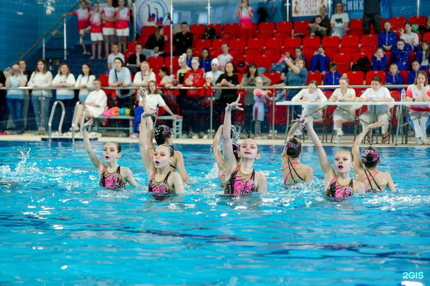 Отзывы на компанию Дельфин в г. Нижний Новгород c фото