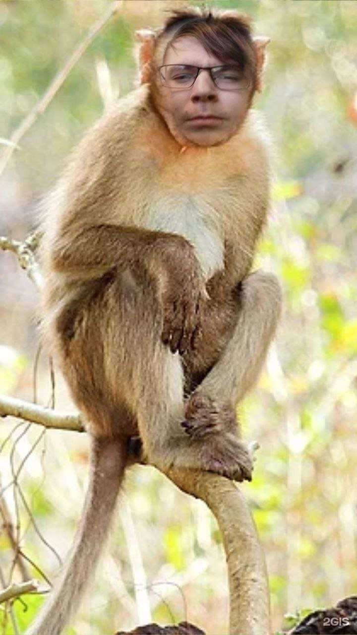 Отзывы на компанию Добрый домик в г. Иркутск c фото