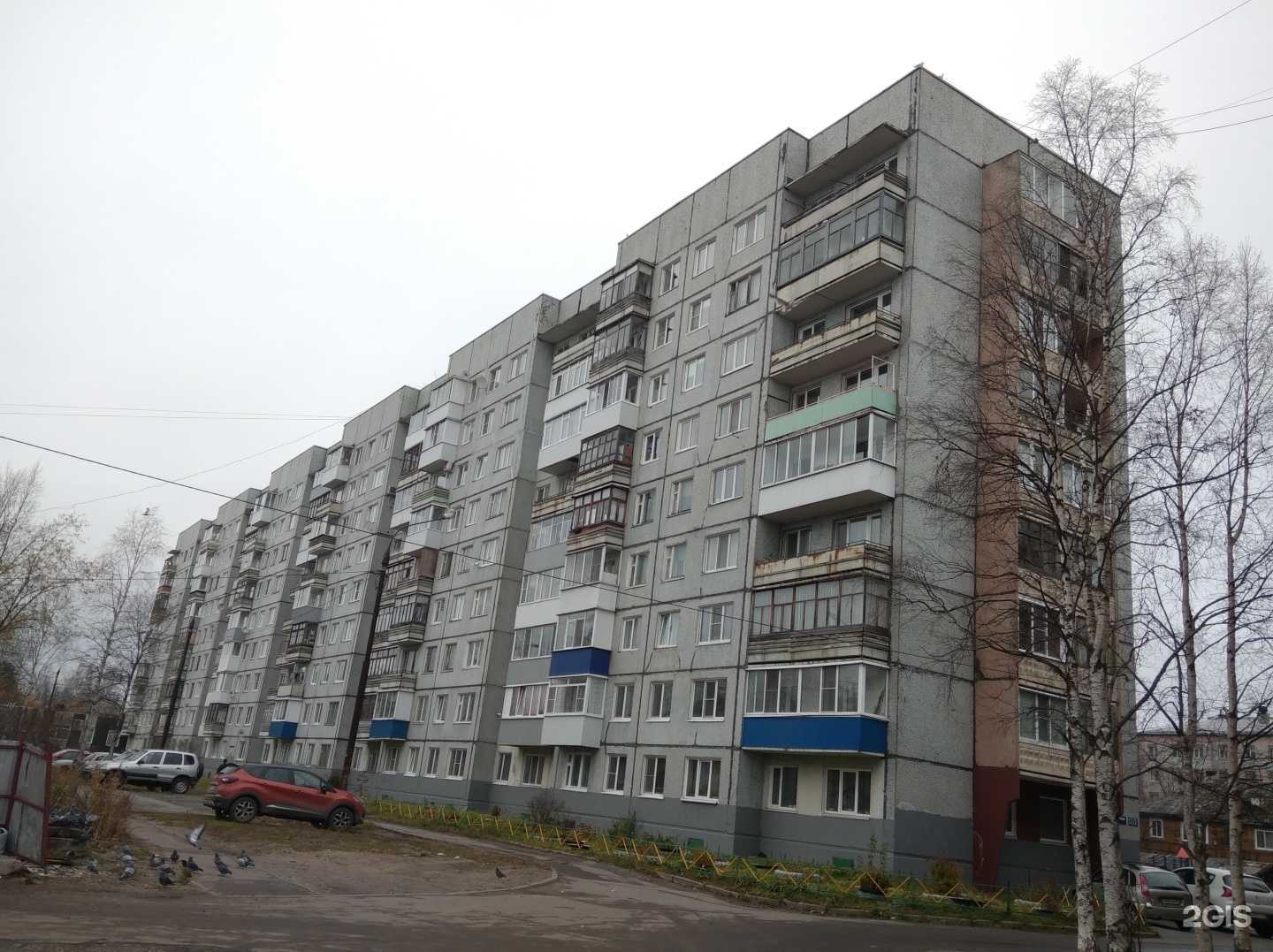 Отзывы на компанию Совушка в Архангельске c фото - фотография 2 из 2