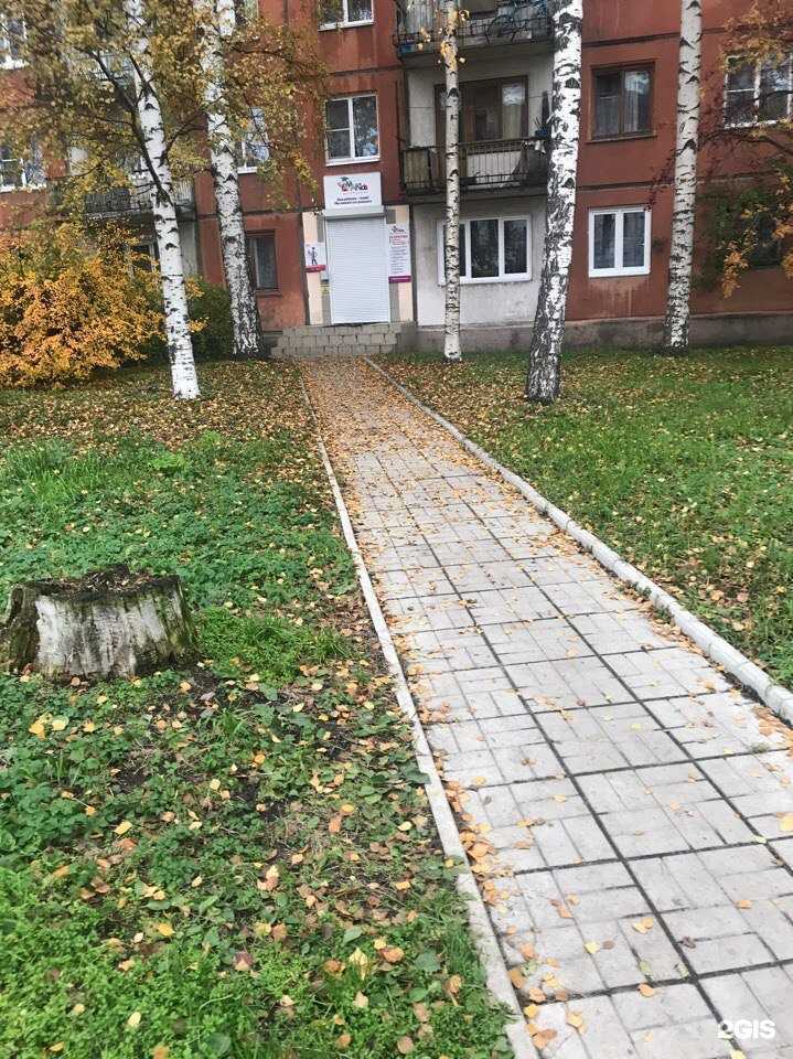 Отзывы на компанию Amakids в г. Петрозаводск c фото