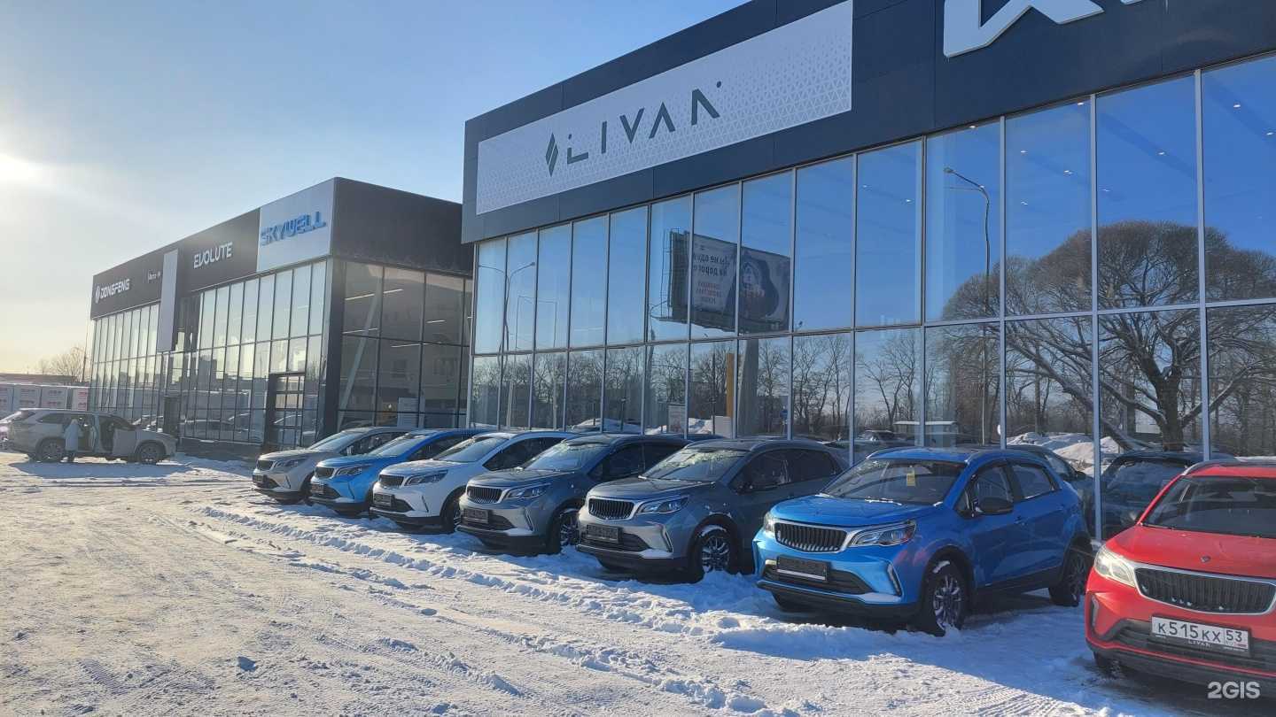 Отзывы на компанию Livan  в Великом Новгороде c фото