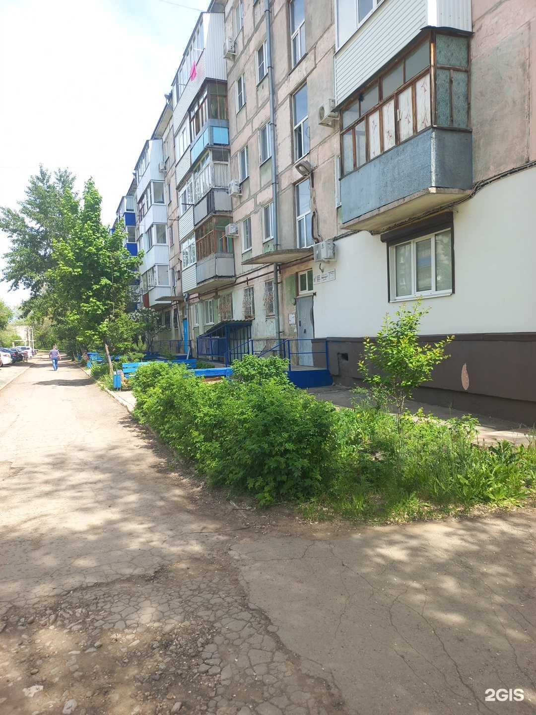 Отзывы на компанию Хамелеон в Нефтегорске c фото