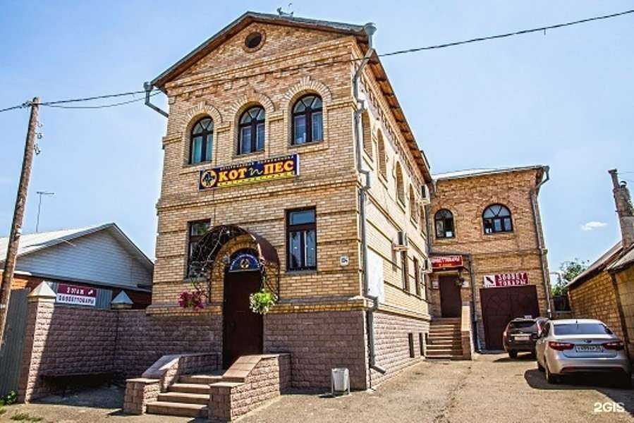 Отзывы на компанию Кот и Пёс в Оренбурге c фото