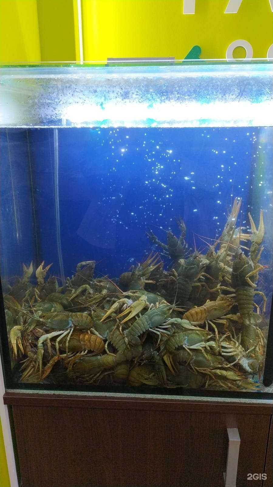 Отзывы на компанию Домашний уют в Краснодаре c фото