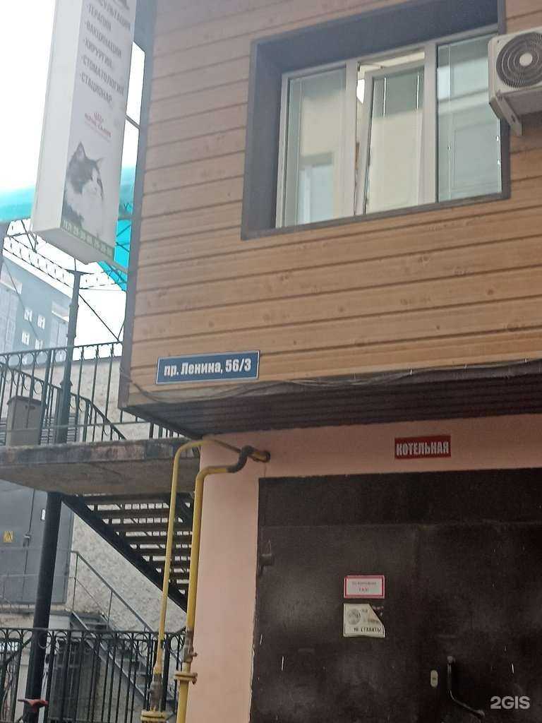 Отзывы на компанию Дарвин в Якутске c фото - фотография 2 из 2