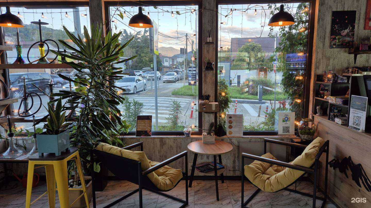 Отзывы на компанию Шишка в Сочи c фото