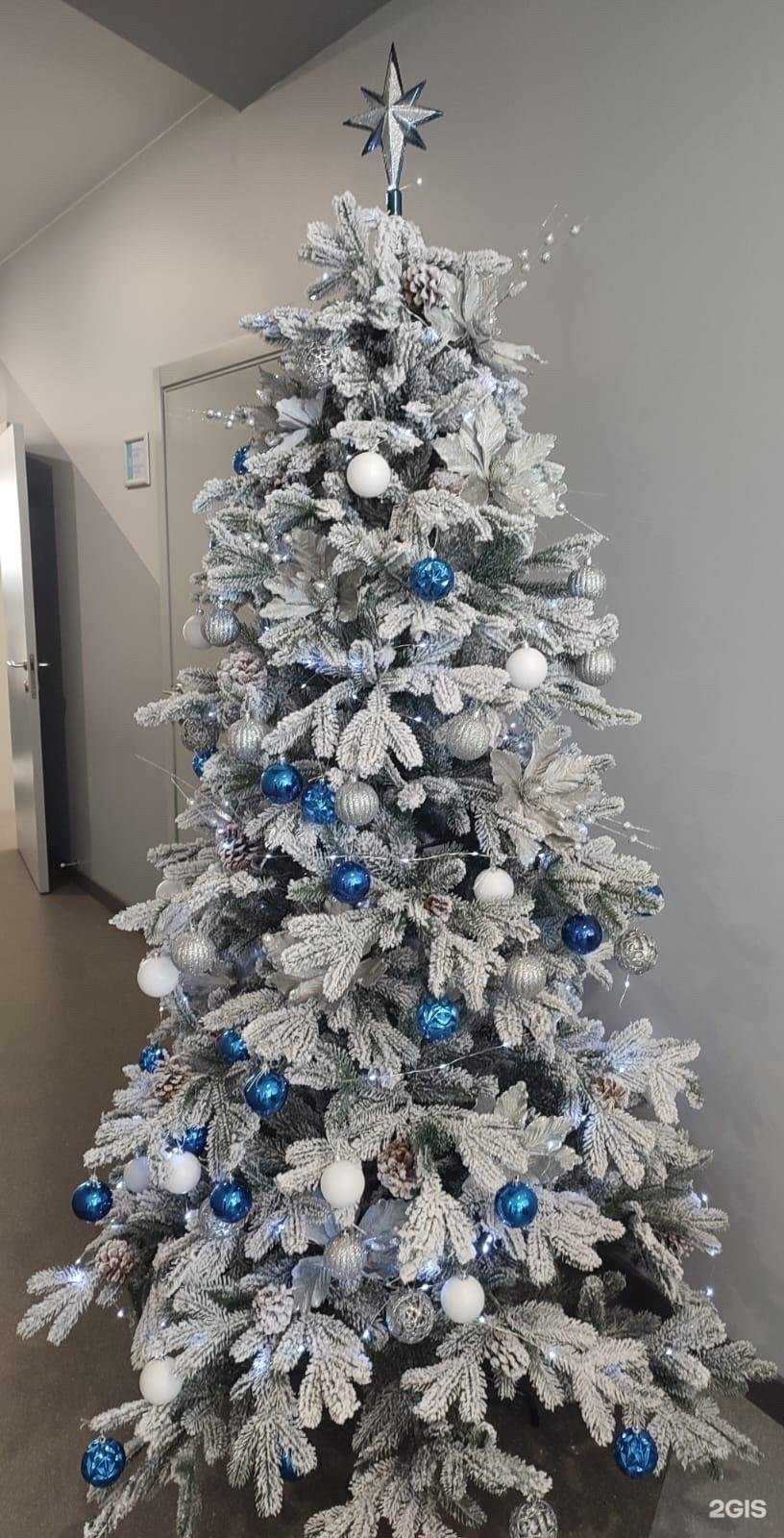 Отзывы на компанию Клиника дентальной имплантологии в Томске c фото