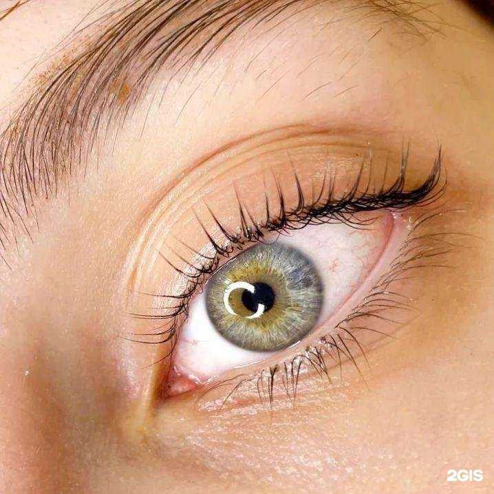 Отзывы на компанию Zebra в г. Йошкар-Ола c фото