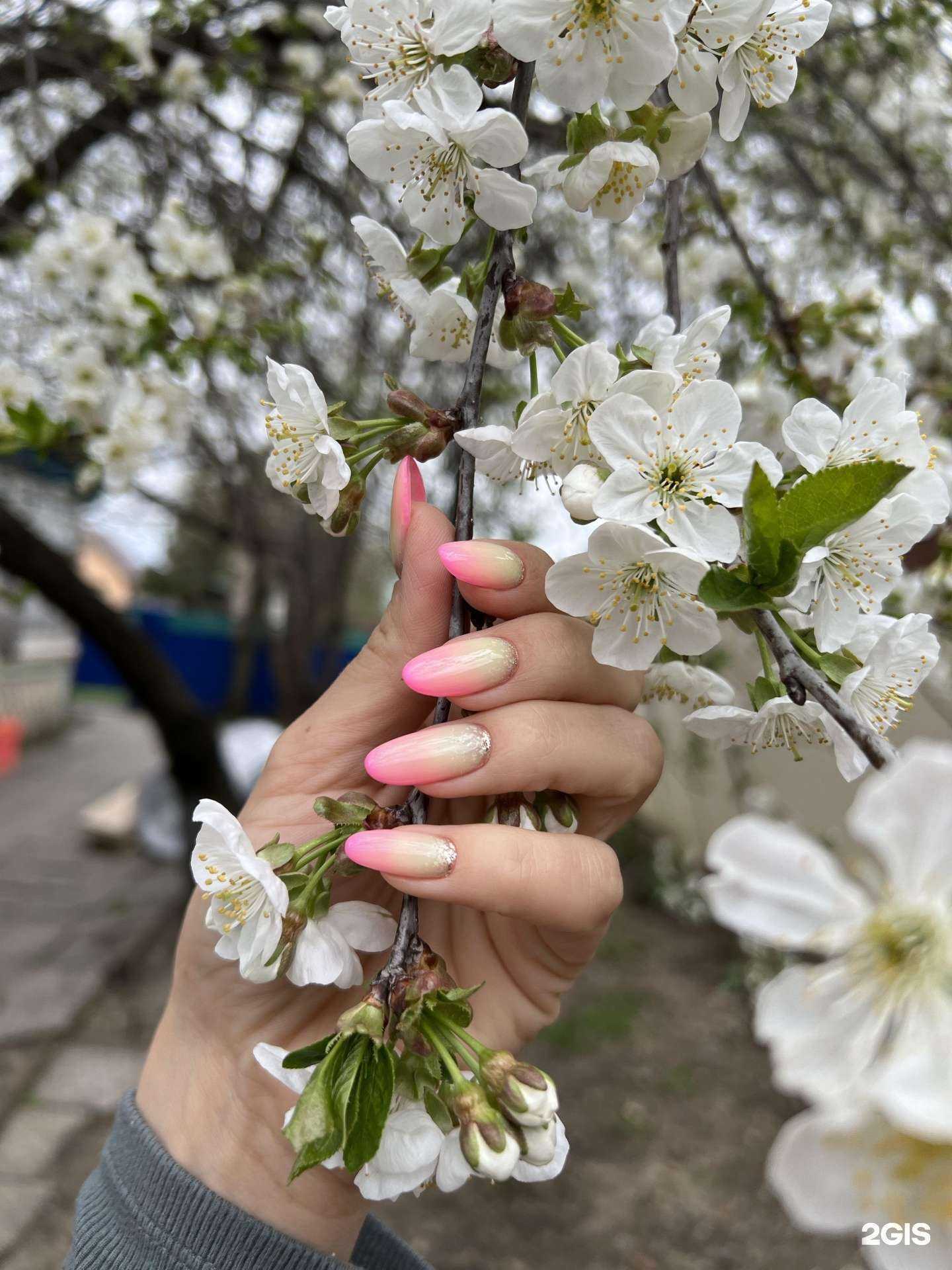 Отзывы на компанию Mezhek_lab в Краснодаре c фото