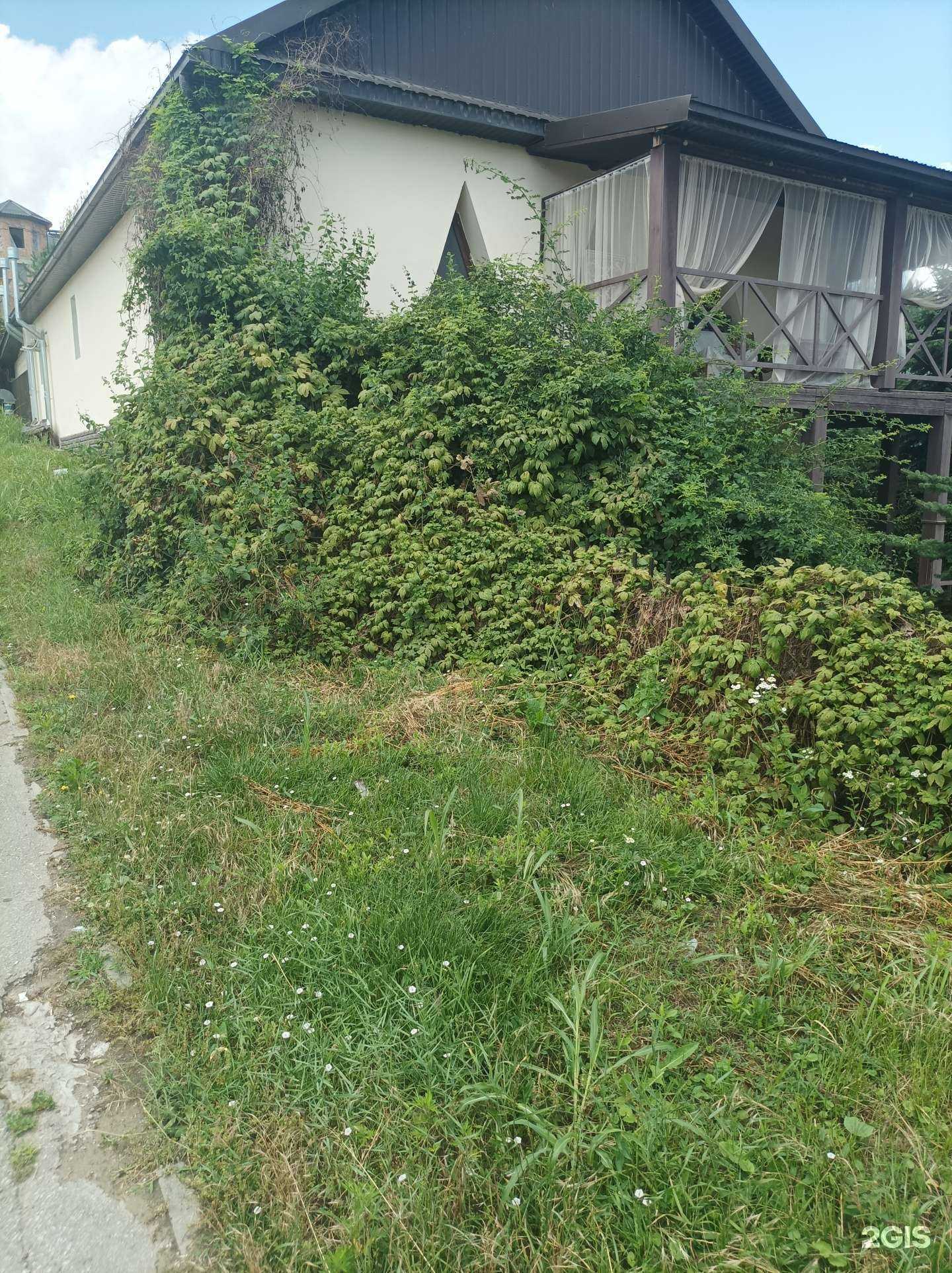 Отзывы на компанию Istanbul в Нальчике c фото