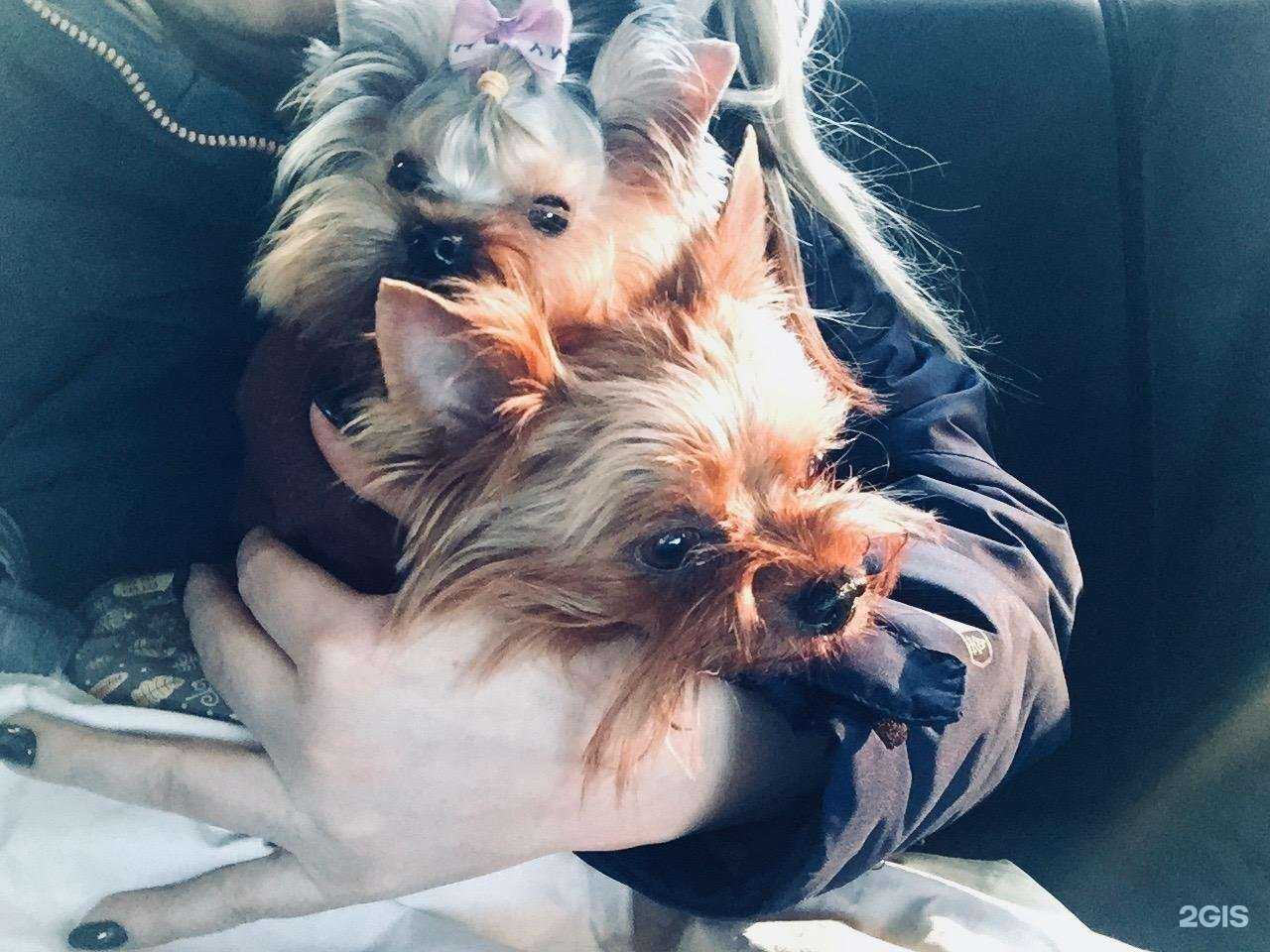 Отзывы на компанию Гламур в Омске c фото