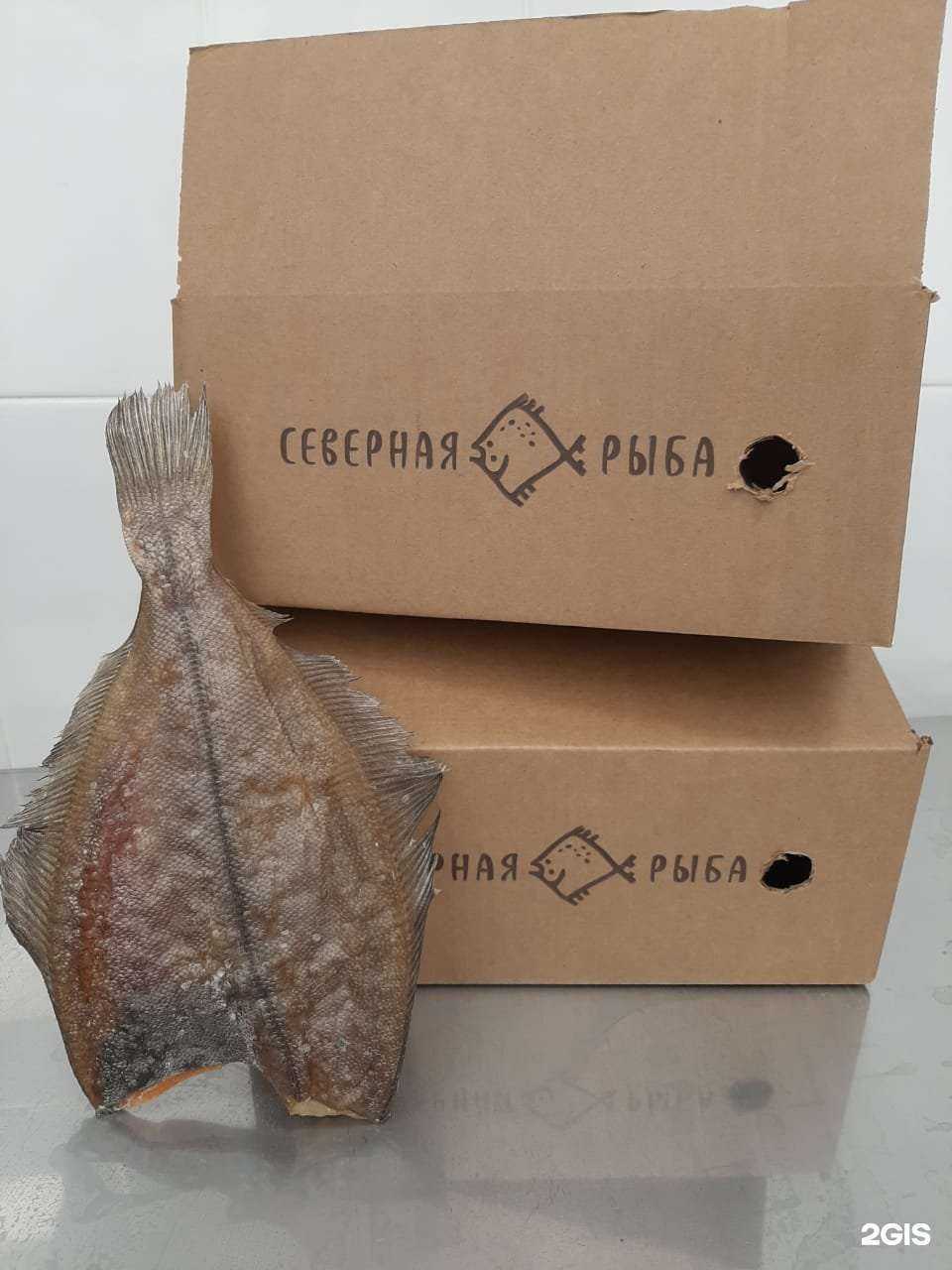 Отзывы на компанию Северная рыба в г. Архангельск c фото