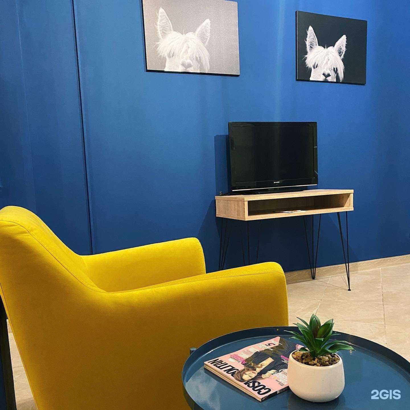 Отзывы на компанию Laika в Твери c фото