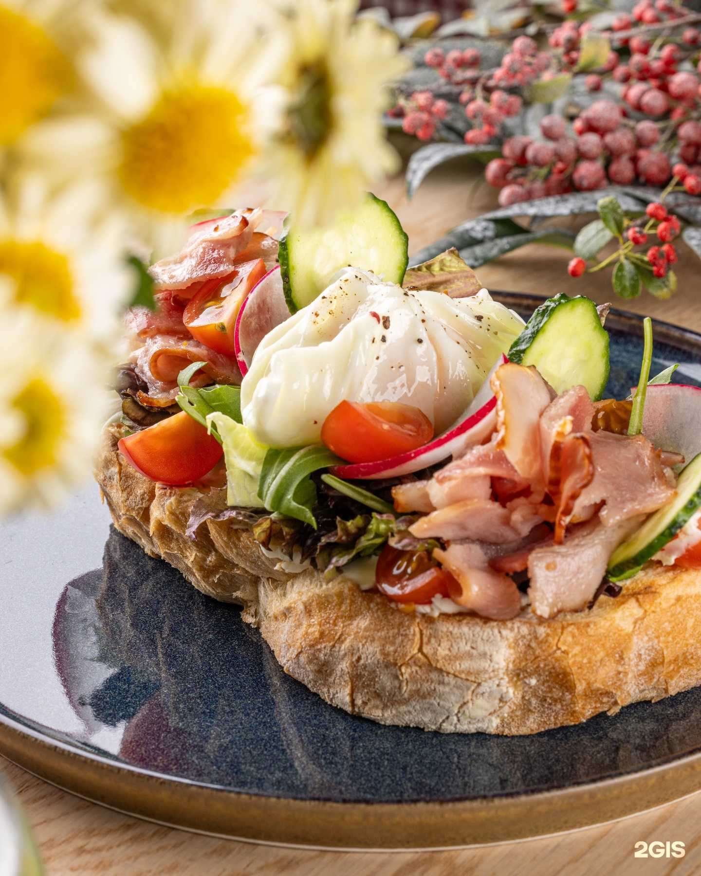 Отзывы на компанию Тестория в Сочи c фото