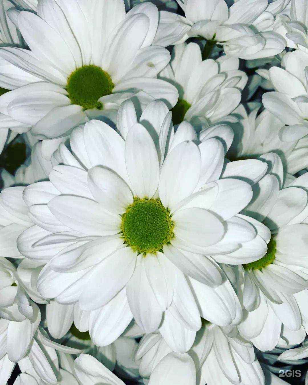 Отзывы на компанию Натали в г. Астрахань c фото