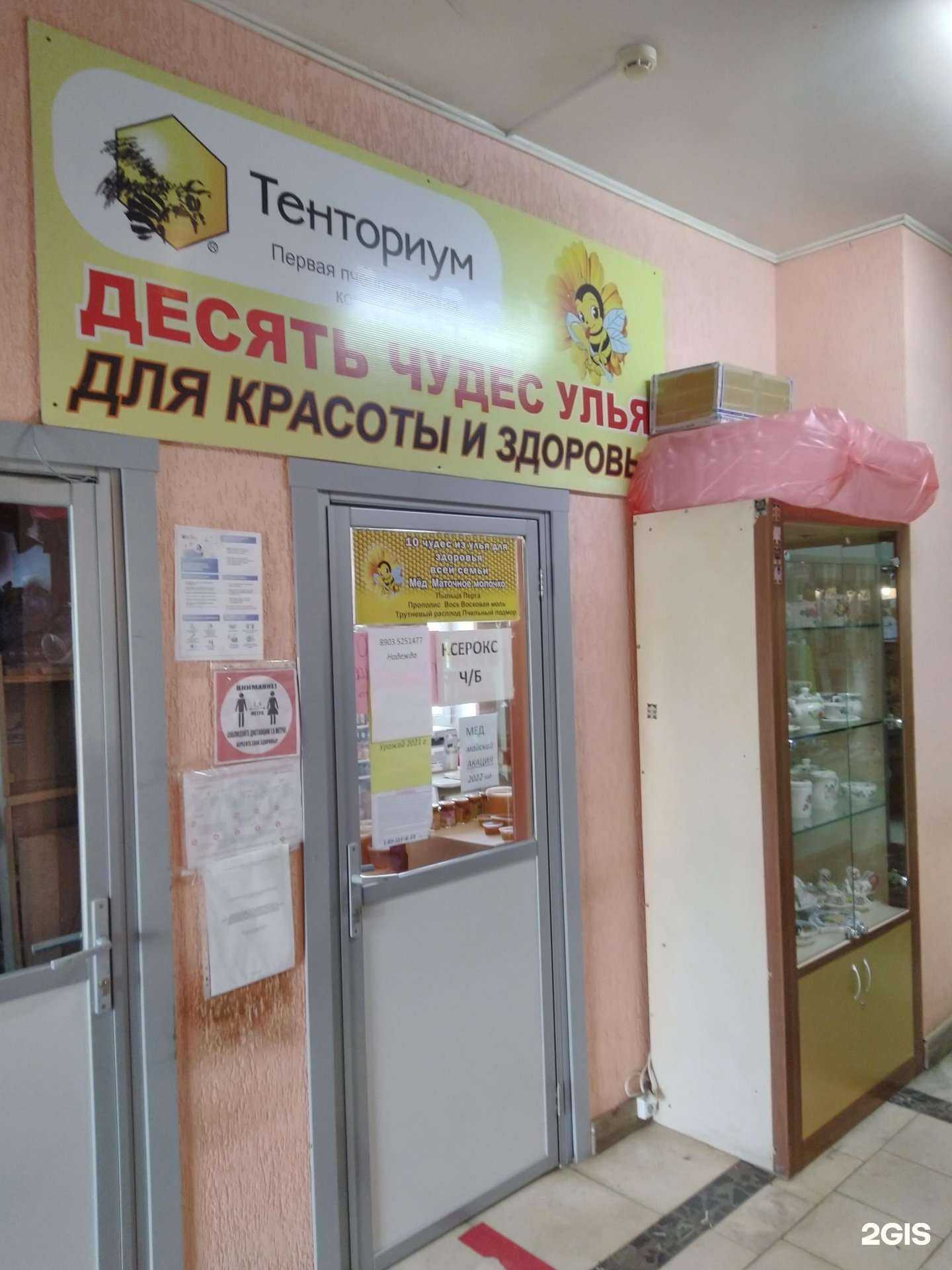 Отзывы на компанию Тенториум в г. Лосино-Петровский c фото