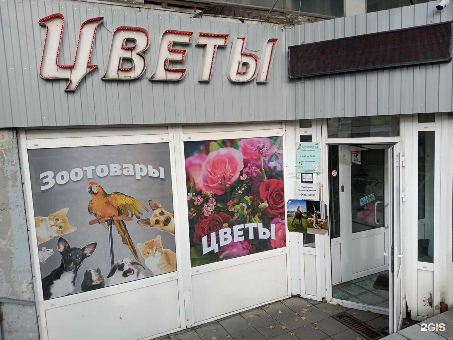 Отзывы на компанию Магазин цветов в Саратове c фото