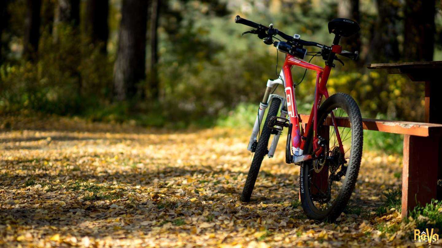 Отзывы на компанию Reva travel в Барнауле c фото