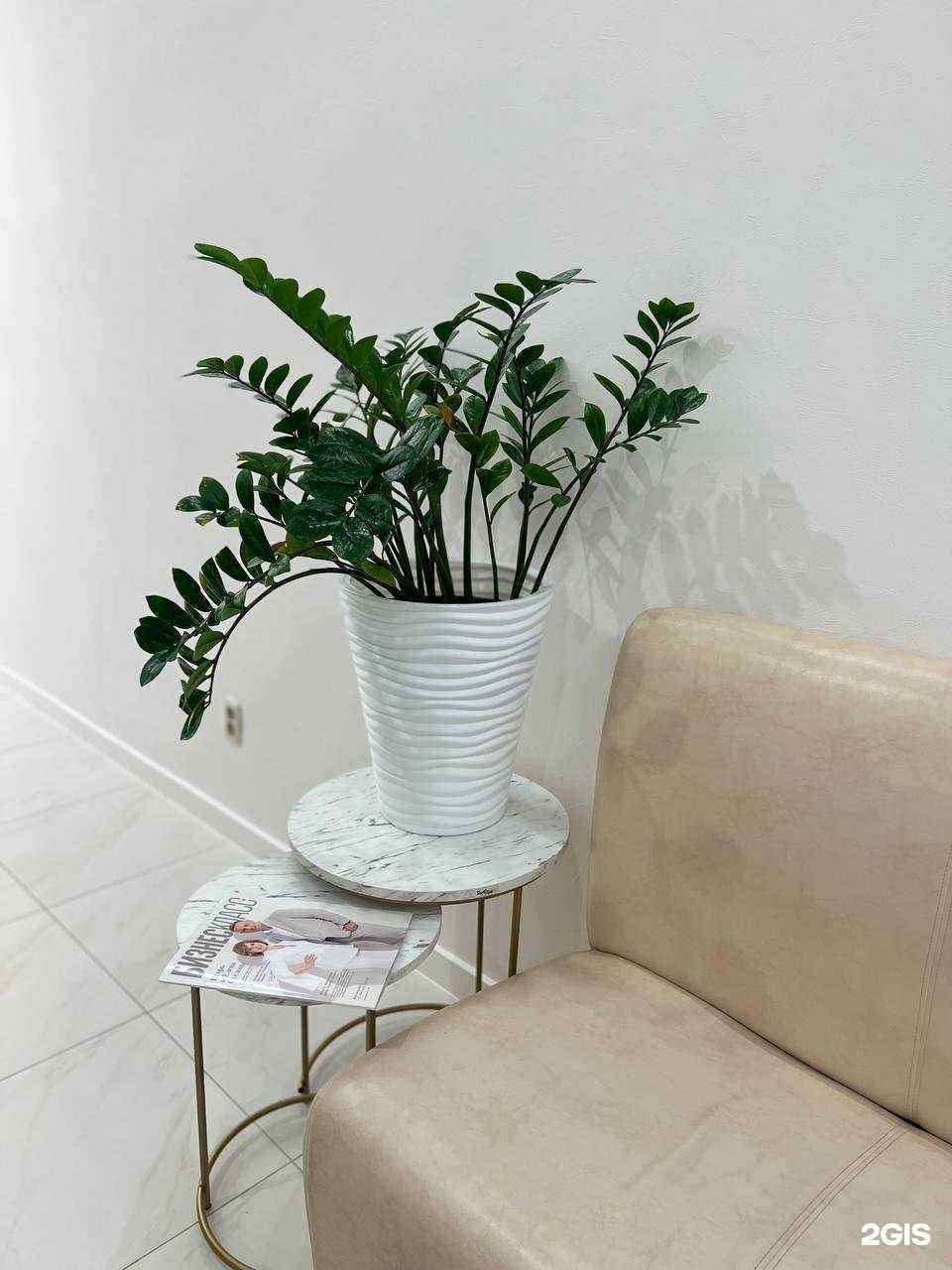 Отзывы на компанию ASdent в г. Киров c фото