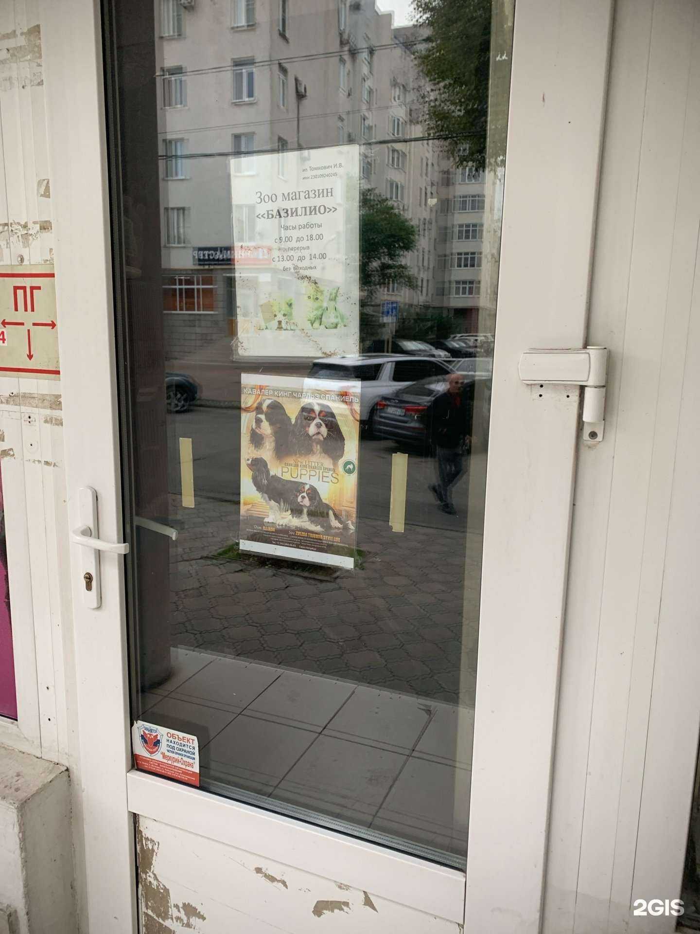 Отзывы на компанию Базилио в Анапе c фото