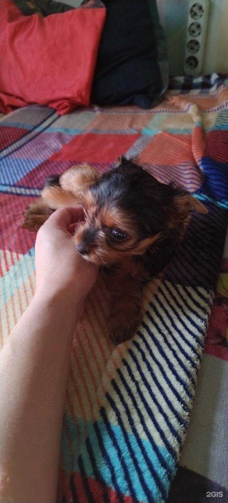 Отзывы на компанию Канский отдел ветеринарии в Канске c фото