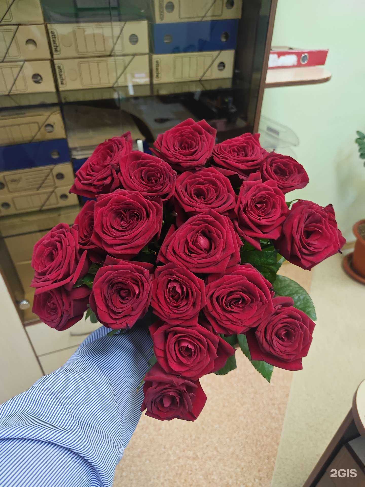 Отзывы на компанию Кактус в Омске c фото