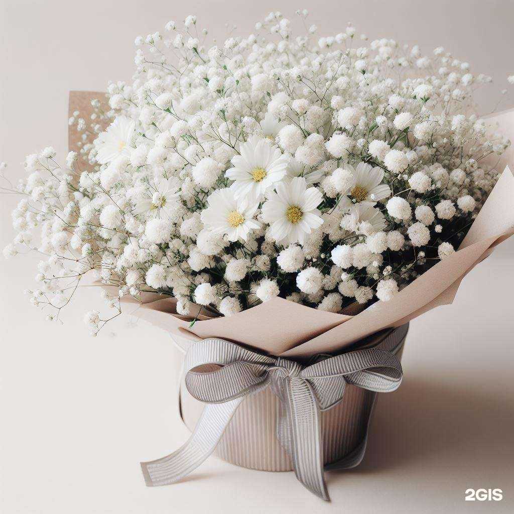 Отзывы на компанию Vivaldi в Новосибирске c фото