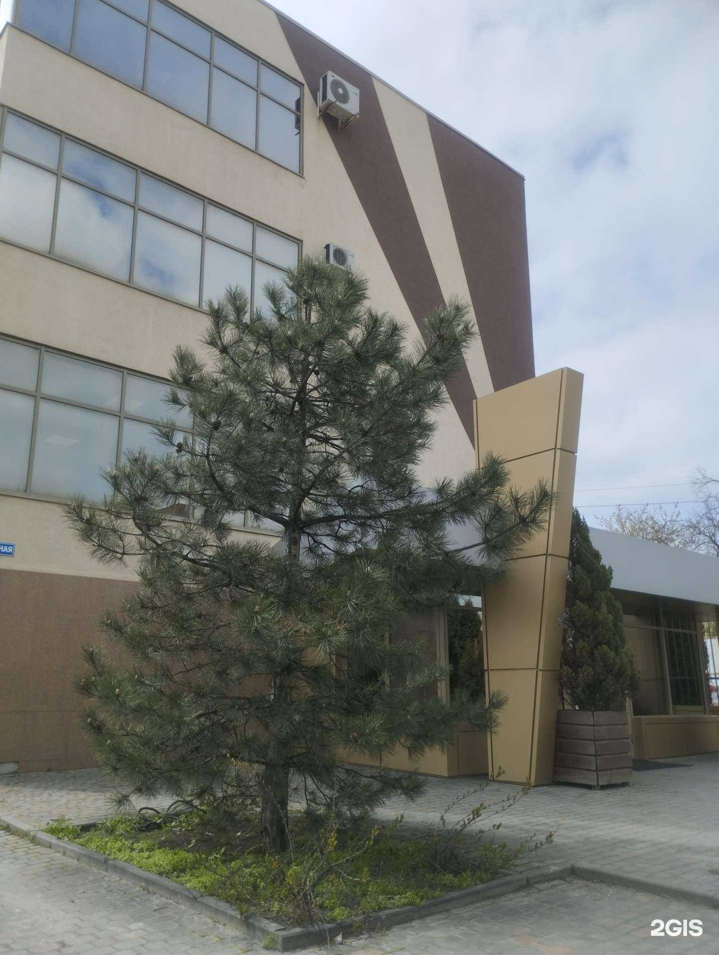 Отзывы на компанию Меридиан в г. Ростов-на-Дону c фото