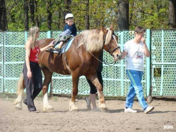 Отзывы на компанию Мой Талисман в Ульяновске c фото