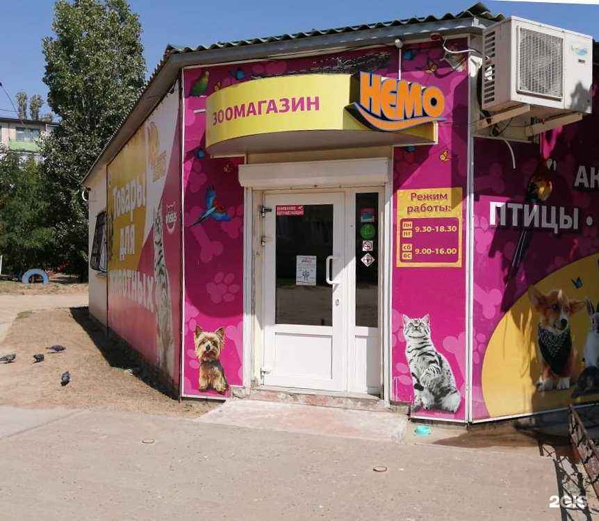 Отзывы на компанию Немо в Камышине c фото