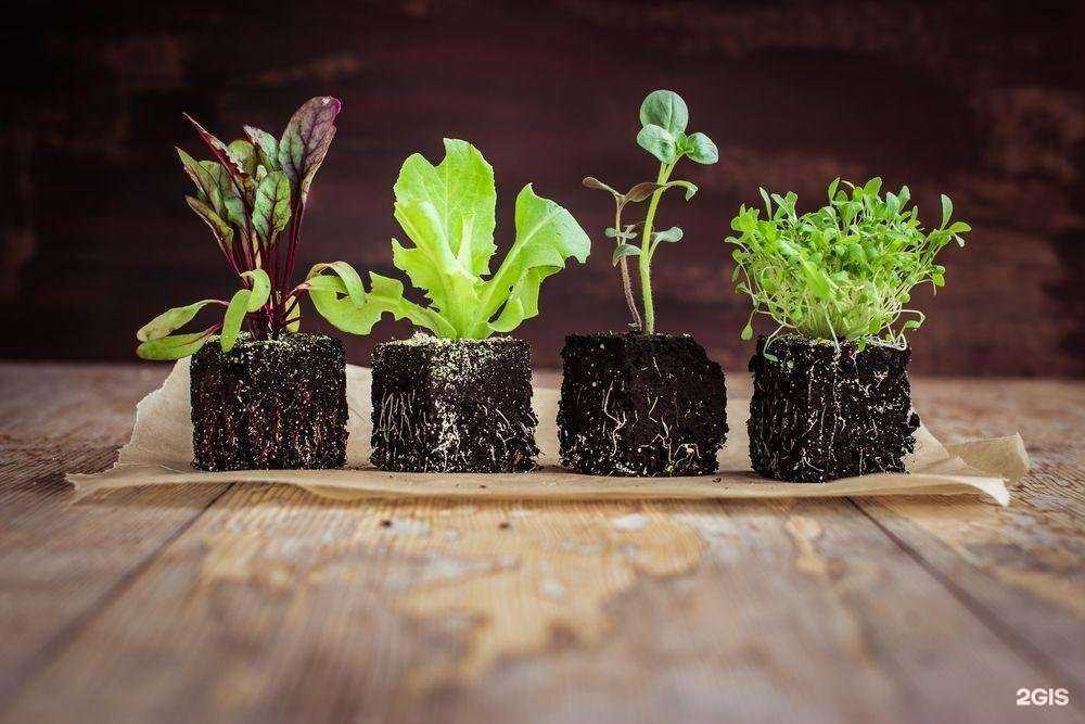 Отзывы на компанию Плодородие в г. Краснодар c фото