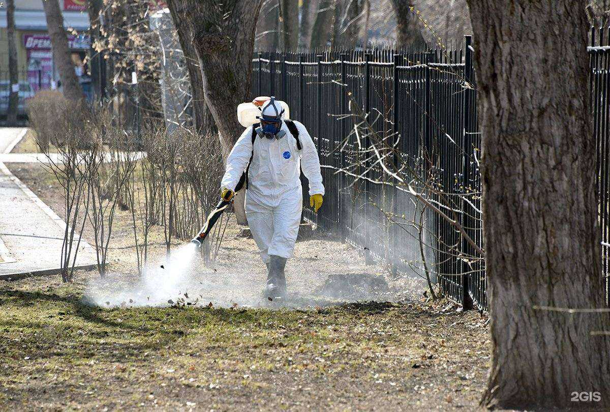 Отзывы на компанию ДезКлинер в г. Саратов c фото