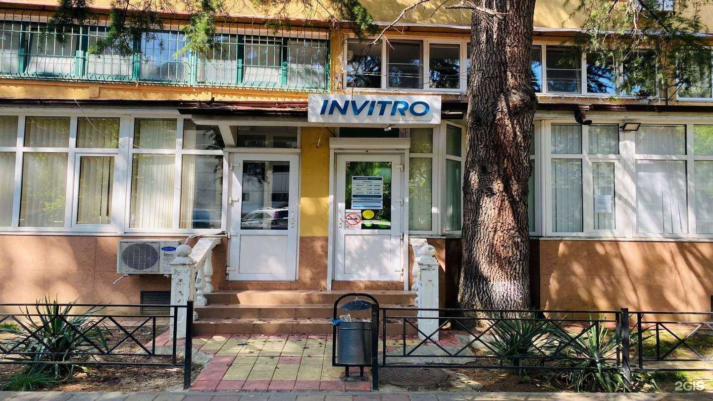 Отзывы на компанию Invitro в г. Сочи c фото