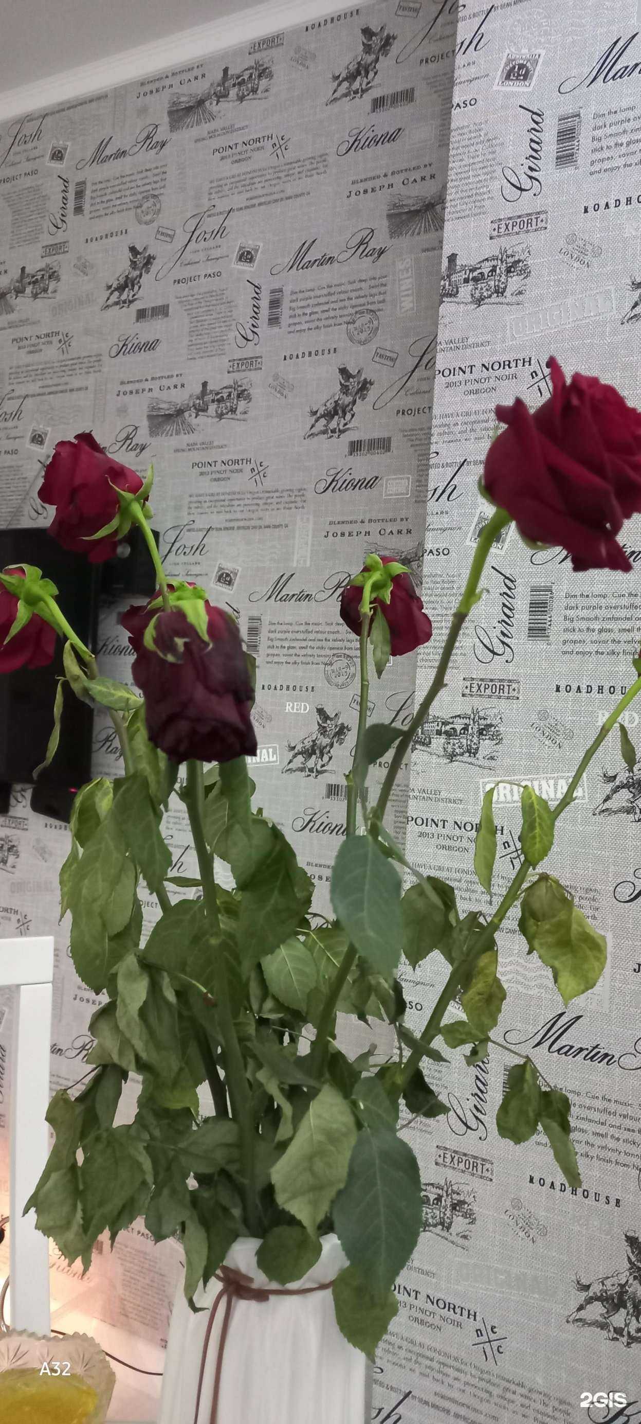 Отзывы на компанию Фиалка в г. Белгород c фото