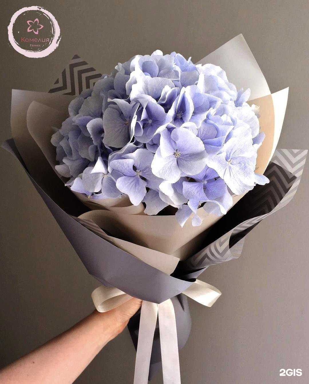 Отзывы на компанию Камелия в Челябинске c фото