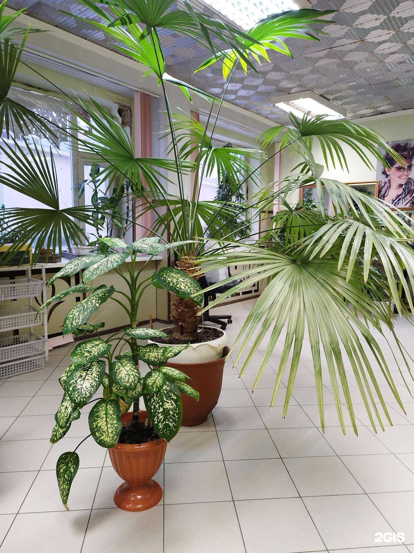 Отзывы на компанию Мужская парикмахерская в г. Норильск c фото