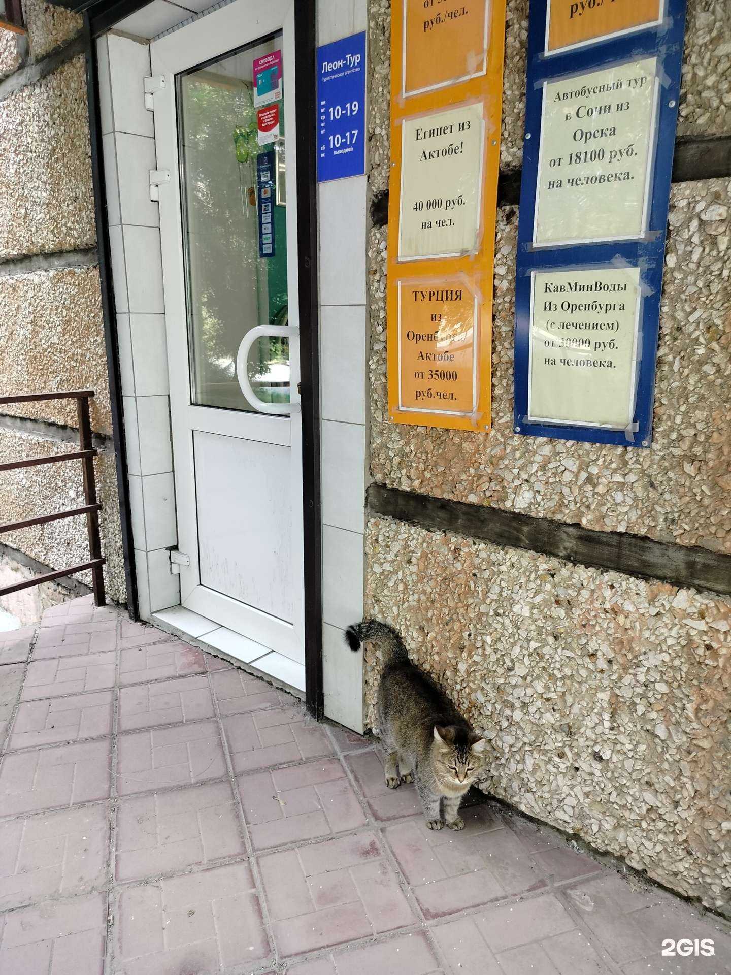 Отзывы на компанию Леон-Тур в г. Орск c фото