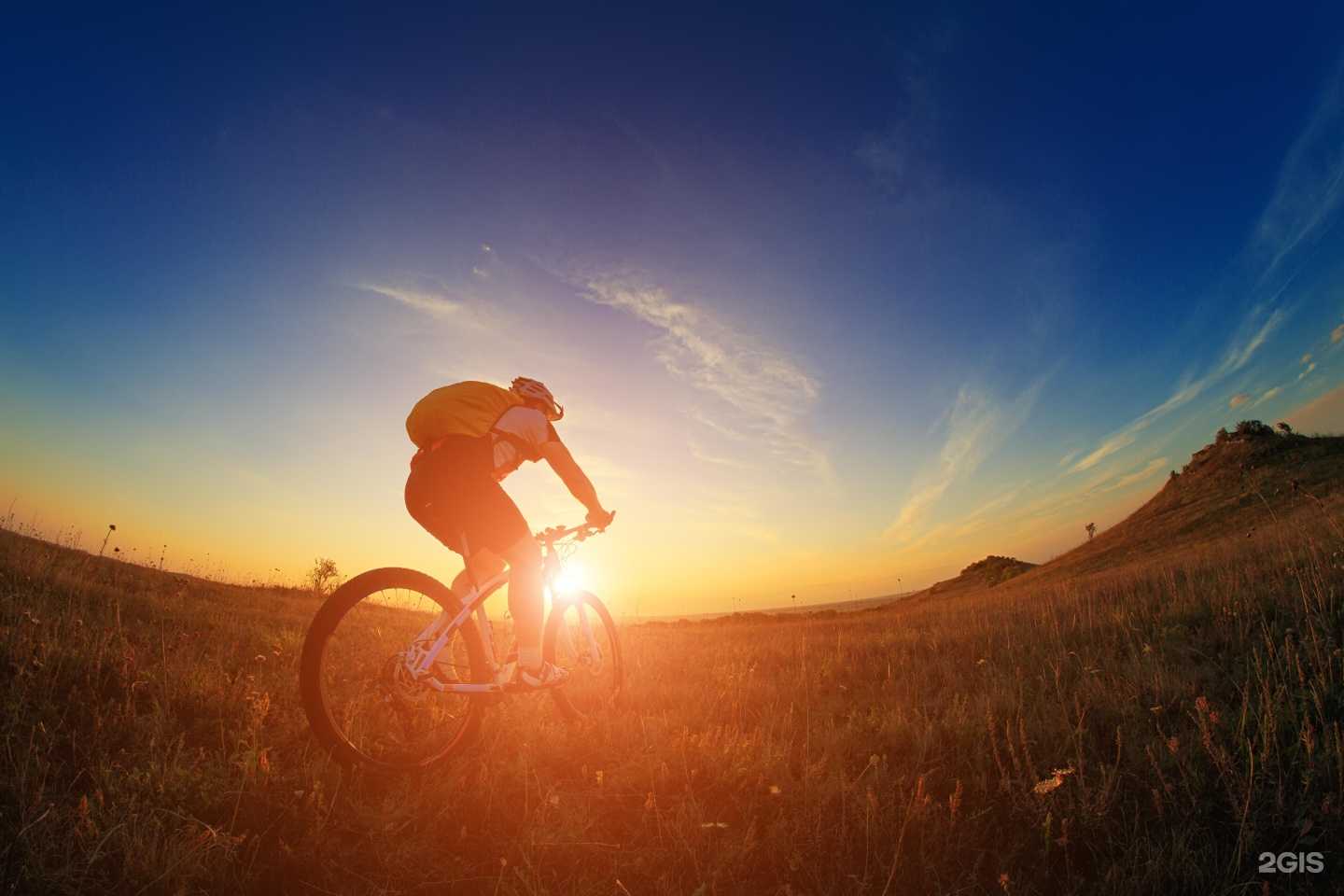 Отзывы на компанию Дау Изолан в Владимире c фото