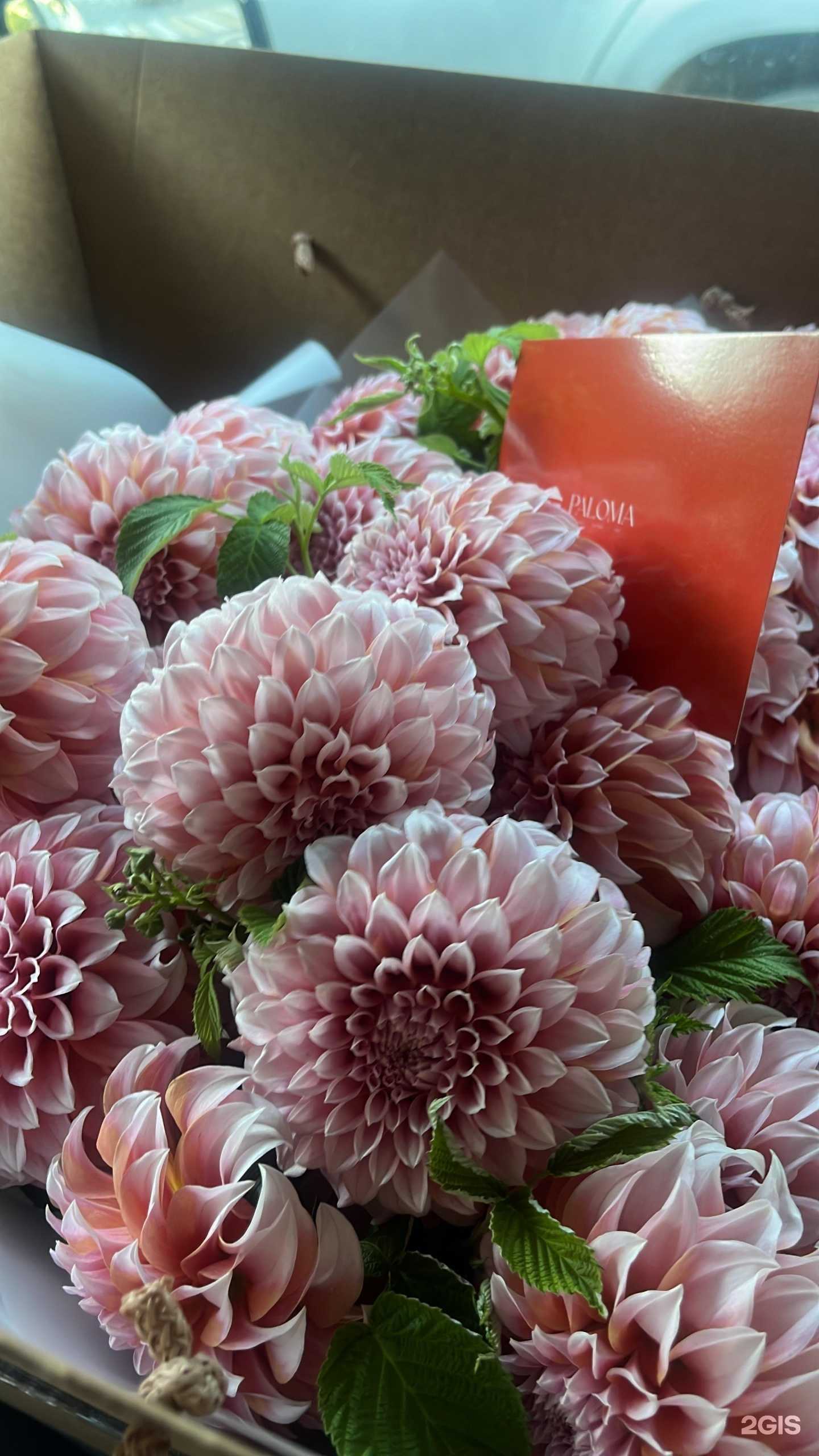 Отзывы на компанию Paloma в Новороссийске c фото