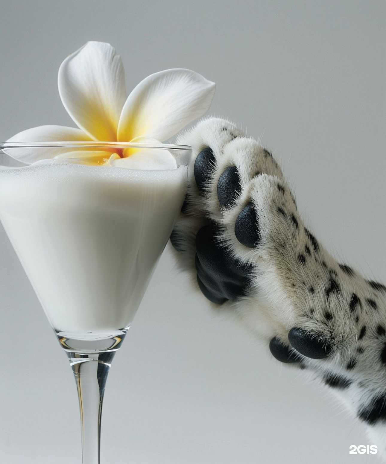 Отзывы на компанию Lavanda в г. Оренбург c фото