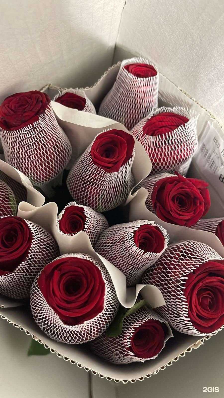 Отзывы на компанию Lilac в г. Махачкала c фото