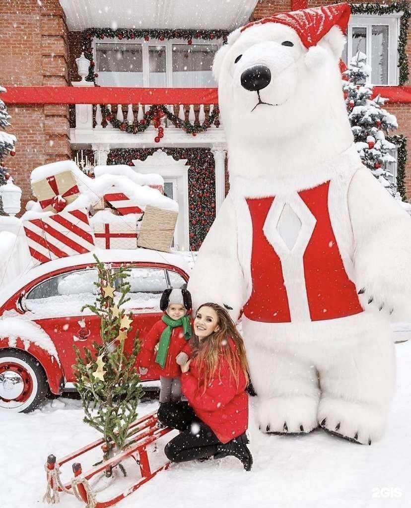 Отзывы на компанию Teddy Show в г. Новосибирск c фото