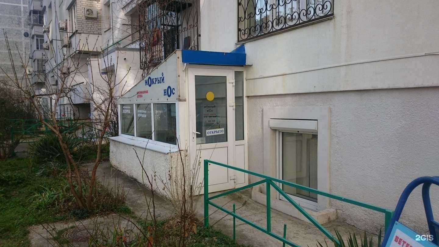 Отзывы на компанию Большая лапа в Новороссийске c фото