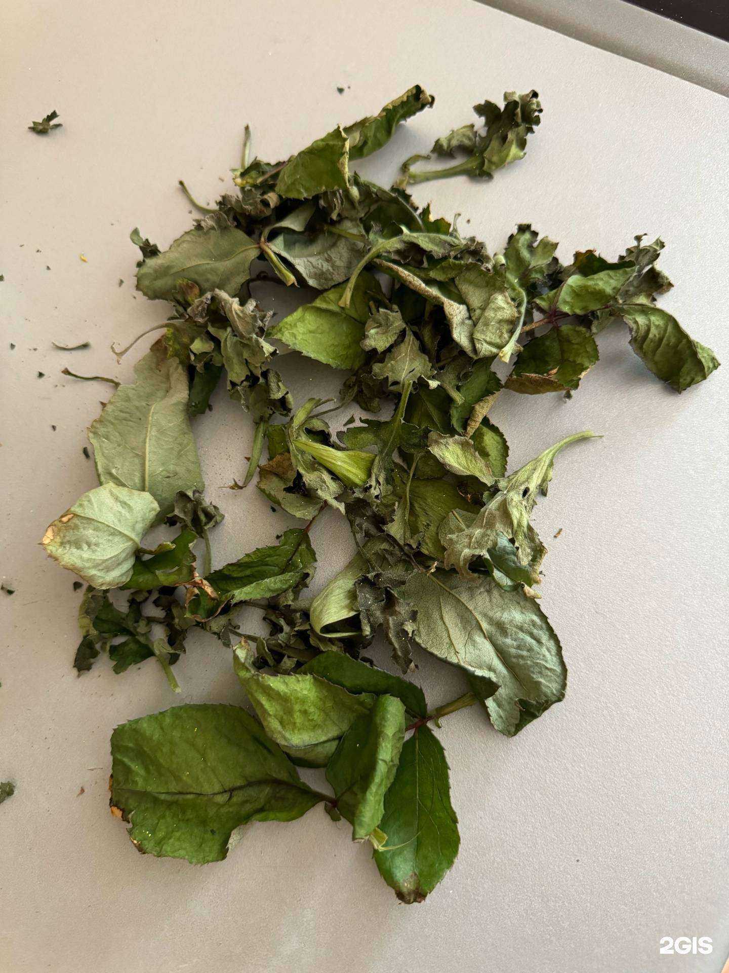 Отзывы на компанию Цветочный двор в Биробиджане c фото