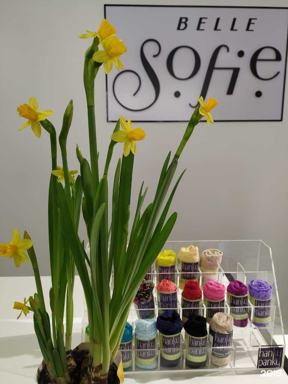 Отзывы на компанию Belle sofie в Самаре c фото