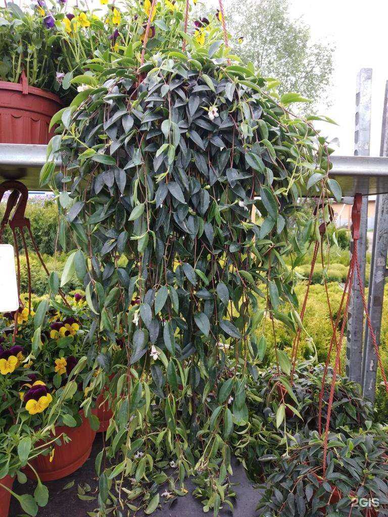 Отзывы на компанию Версаль в Уфе c фото - фотография 2 из 2