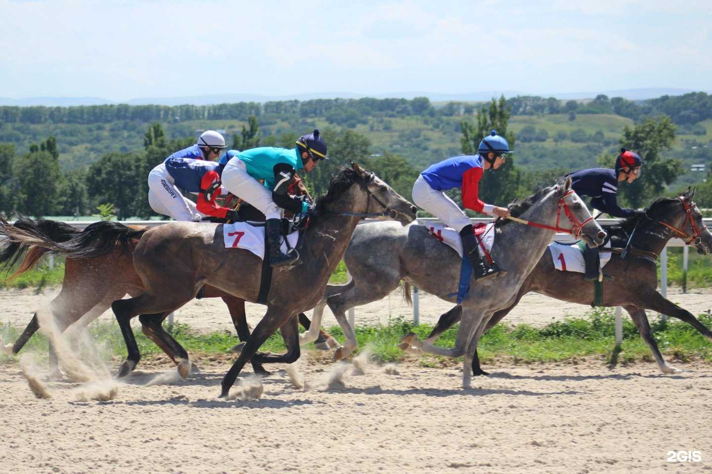 Отзывы на компанию Пони град в Пятигорске c фото - фотография 2 из 2