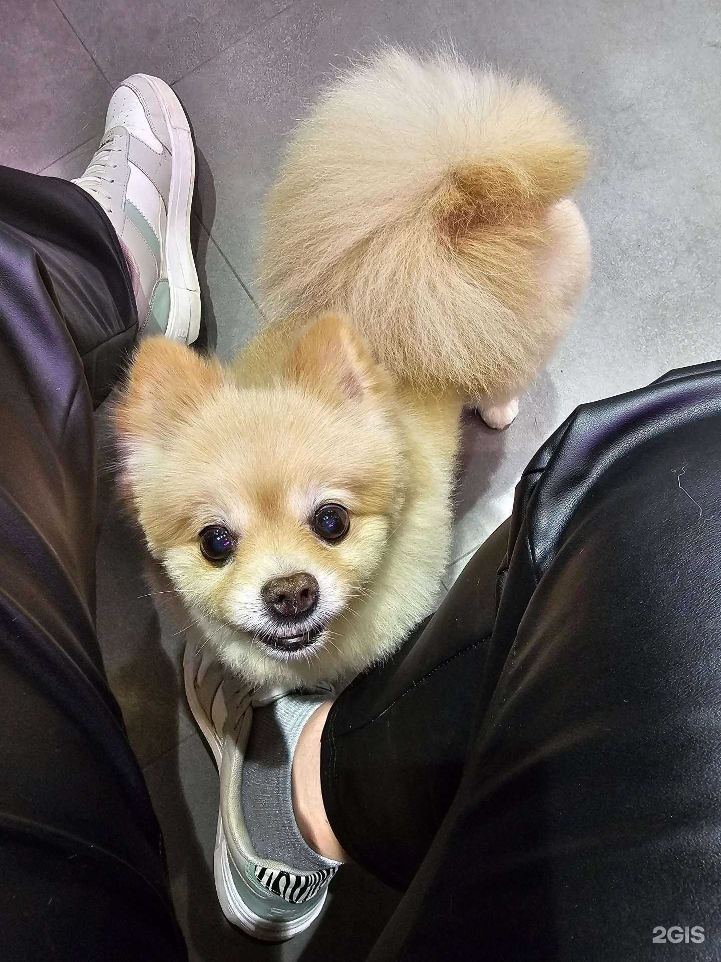 Отзывы на компанию Молли в г. Петрозаводск c фото