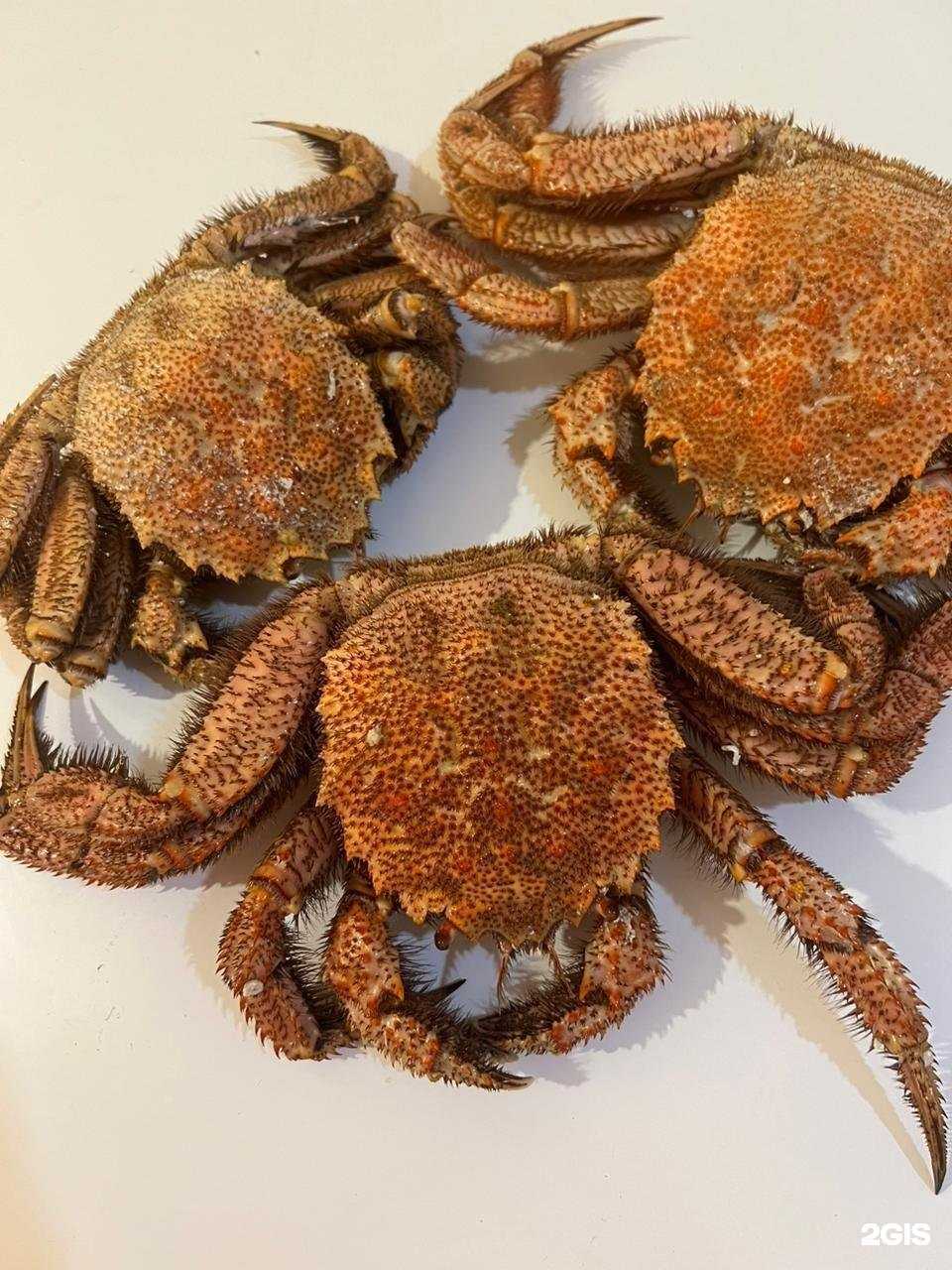 Отзывы на компанию Морские истории в Владивостоке c фото